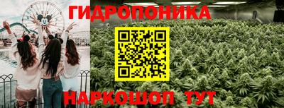apvp Заволжье