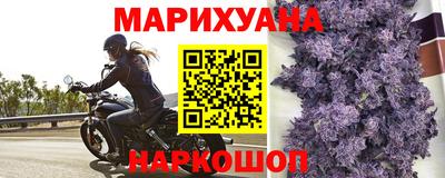 сатива Заводоуковск