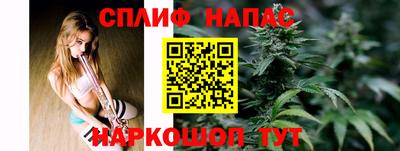 сатива Заводоуковск